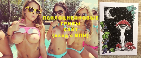 гидропоника Абдулино
