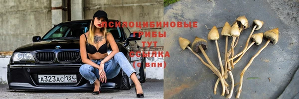 соль ск Абаза