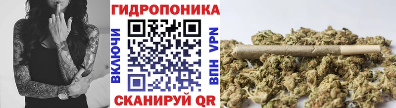 МАРИХУАНА THC 21%  купить   Алатырь 